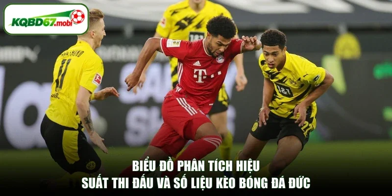 Biểu đồ phân tích hiệu suất thi đấu và số liệu kèo bóng đá Đức