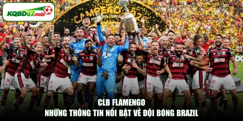 CLB Flamengo - Những Thông Tin Nổi Bật Về Đội Bóng Brazil