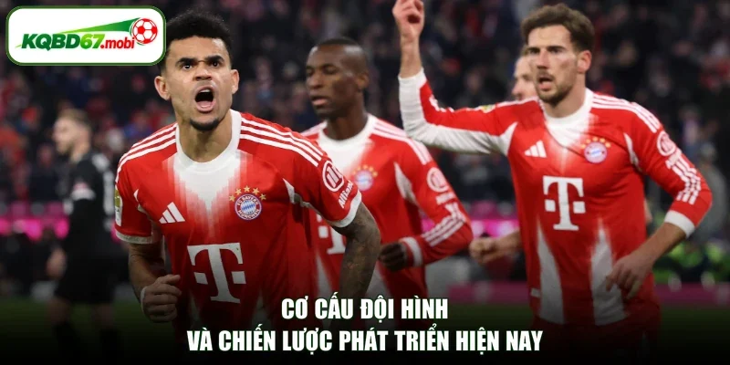 Cơ cấu đội hình và chiến lược phát triển hiện nay