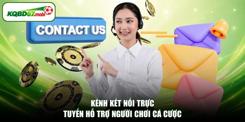 Kênh kết nối trực tuyến hỗ trợ người chơi cá cược